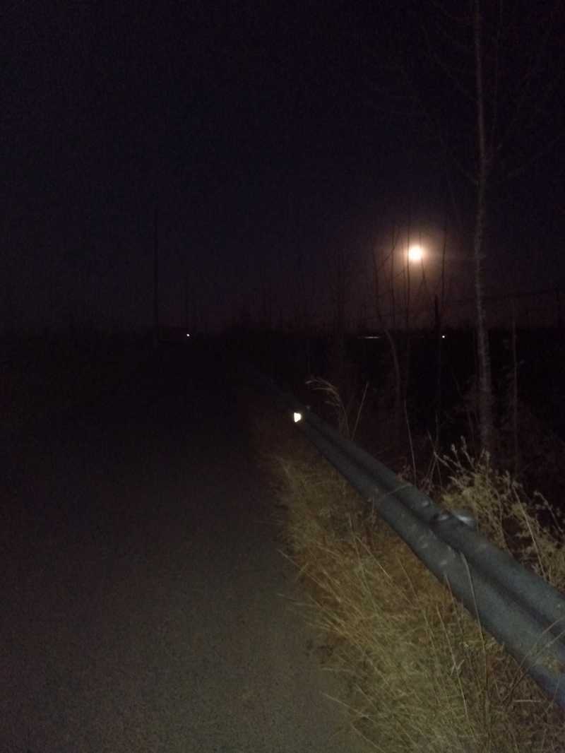 IMG20201230063219.jpg