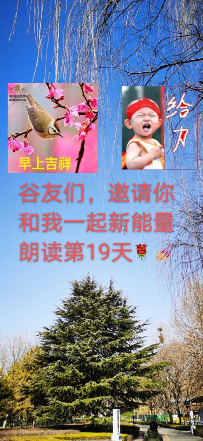 mmexport1612491641817.jpg