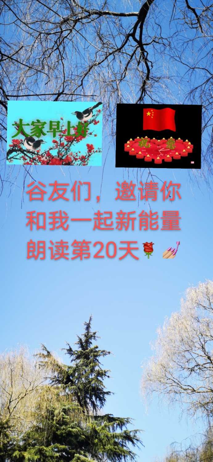 mmexport1612578986171.jpg