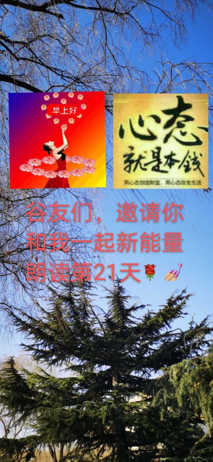 mmexport1612660693985.jpg