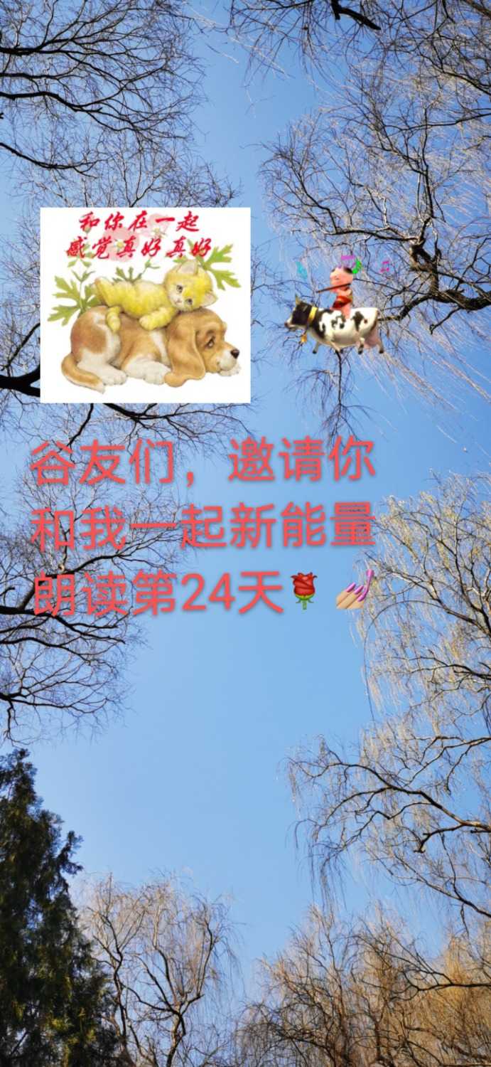 mmexport1613711212768.jpg