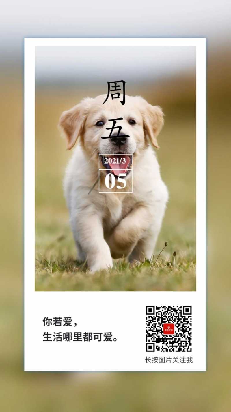 984B6668-A143-4247-B383-A2EAA6EA74DB.jpeg
