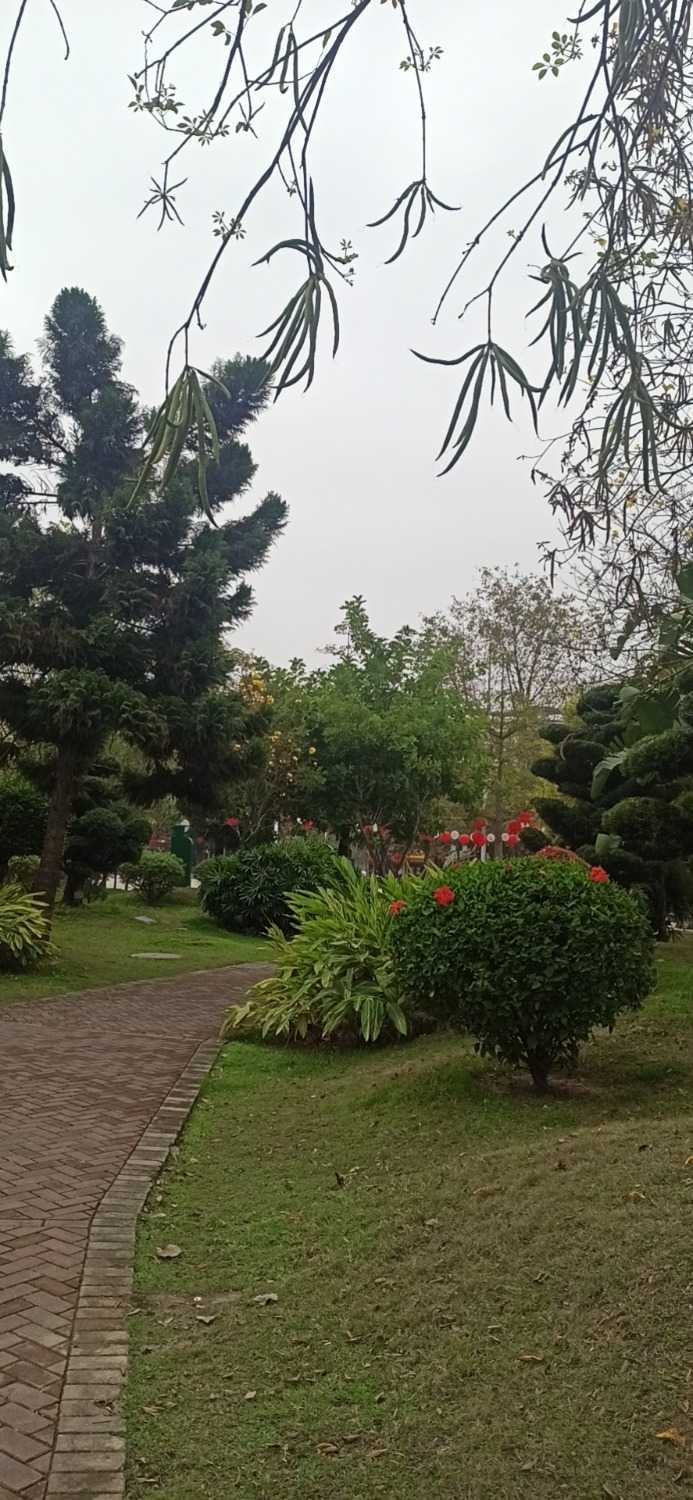 wx_camera_1615173185222.jpg