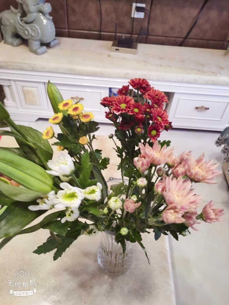Wuta_20210308_173531.jpg