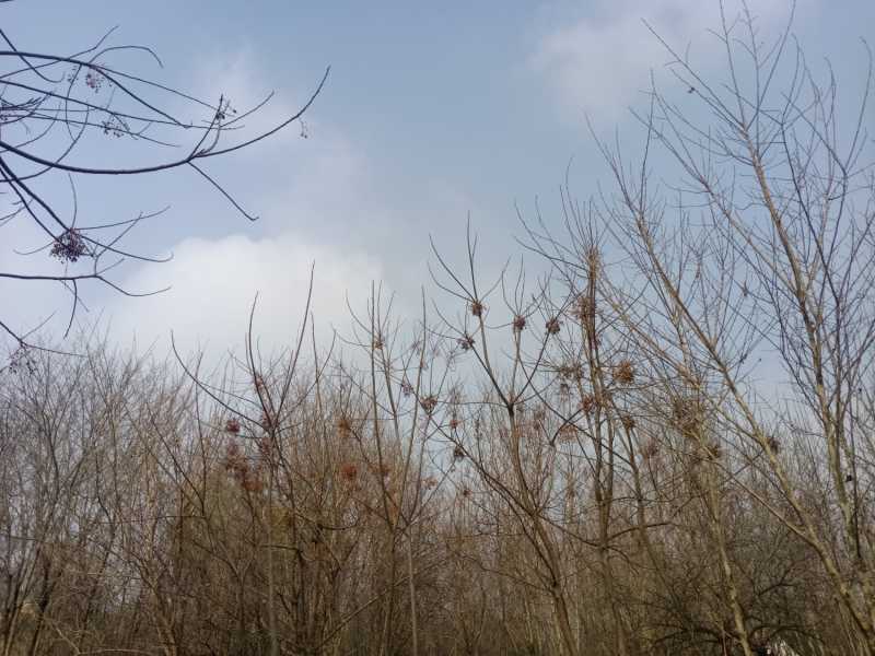 IMG20210311103100.jpg