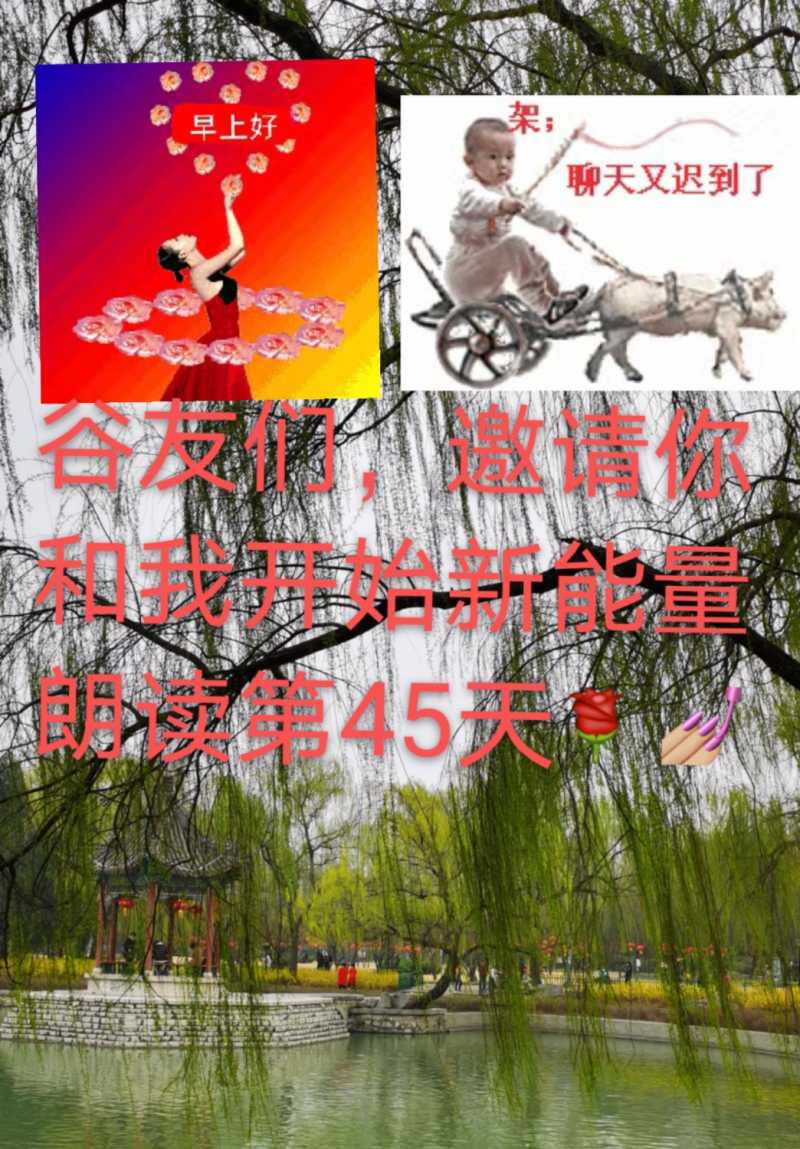 mmexport1615772193908.jpg