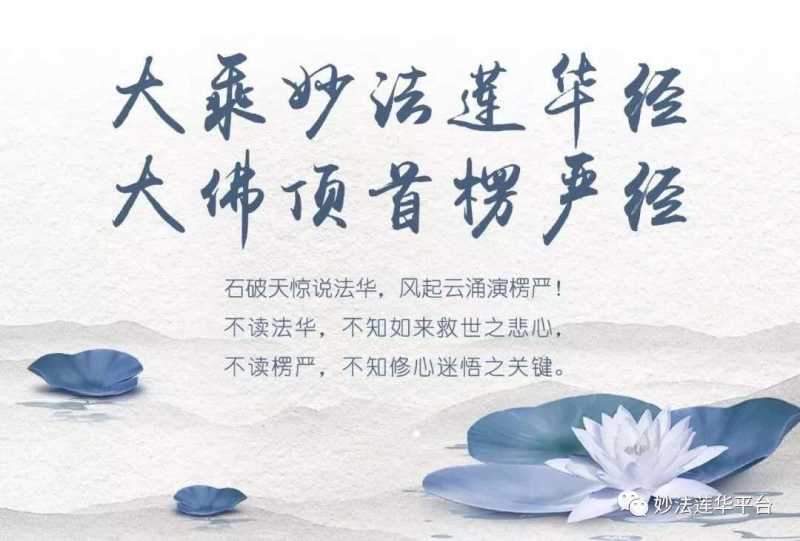 mmexport1609412269605.jpg
