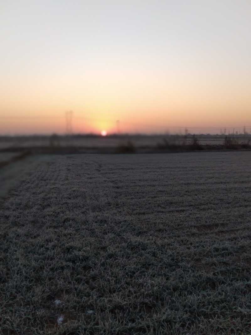 IMG20201215072234.jpg