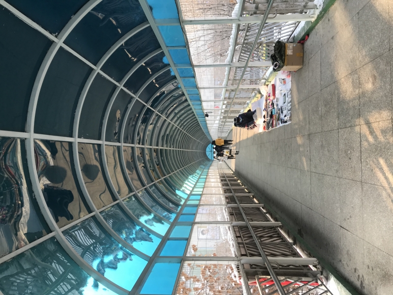 ΢��ͼƬ_20210101230335.jpg
