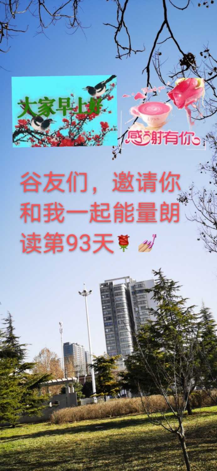 mmexport1609980554998.jpg