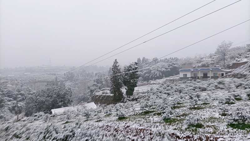 IMG_20210108_084313146_0.jpg