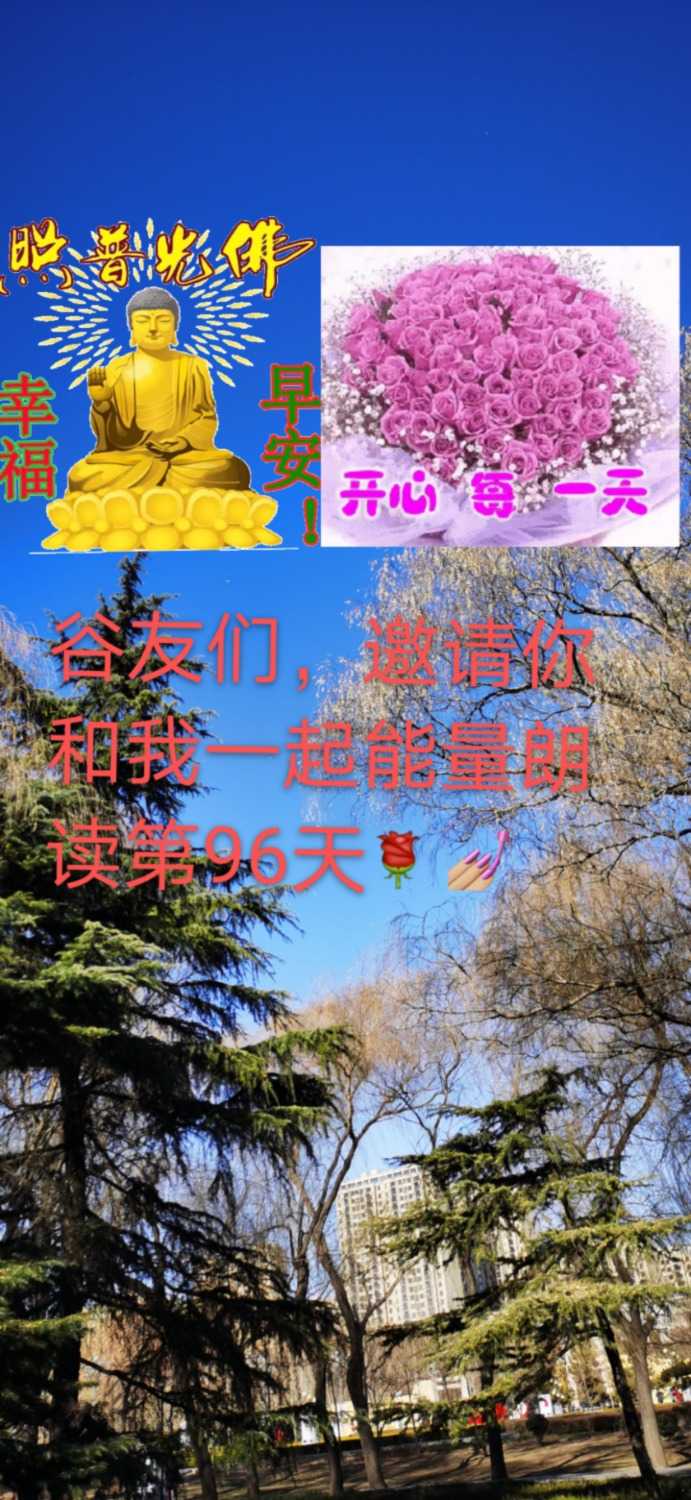 mmexport1610287679970.jpg