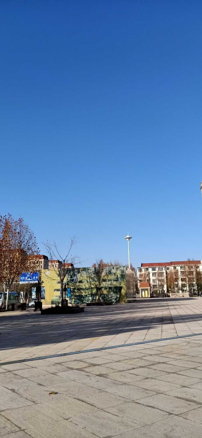 IMG20201127144120.jpg