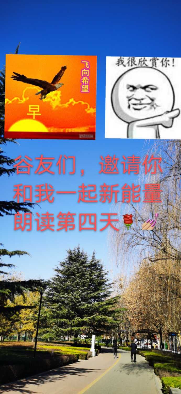 mmexport1610933041929.jpg