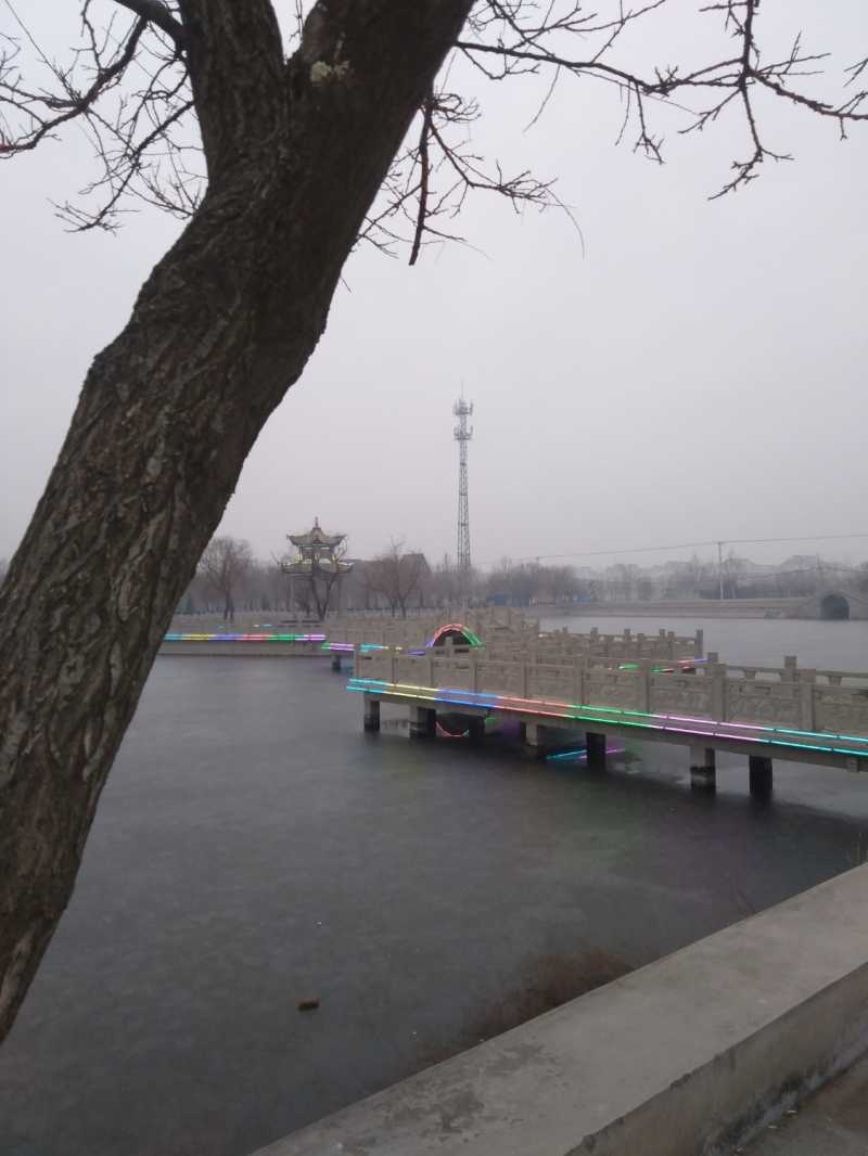 IMG20210121073915.jpg