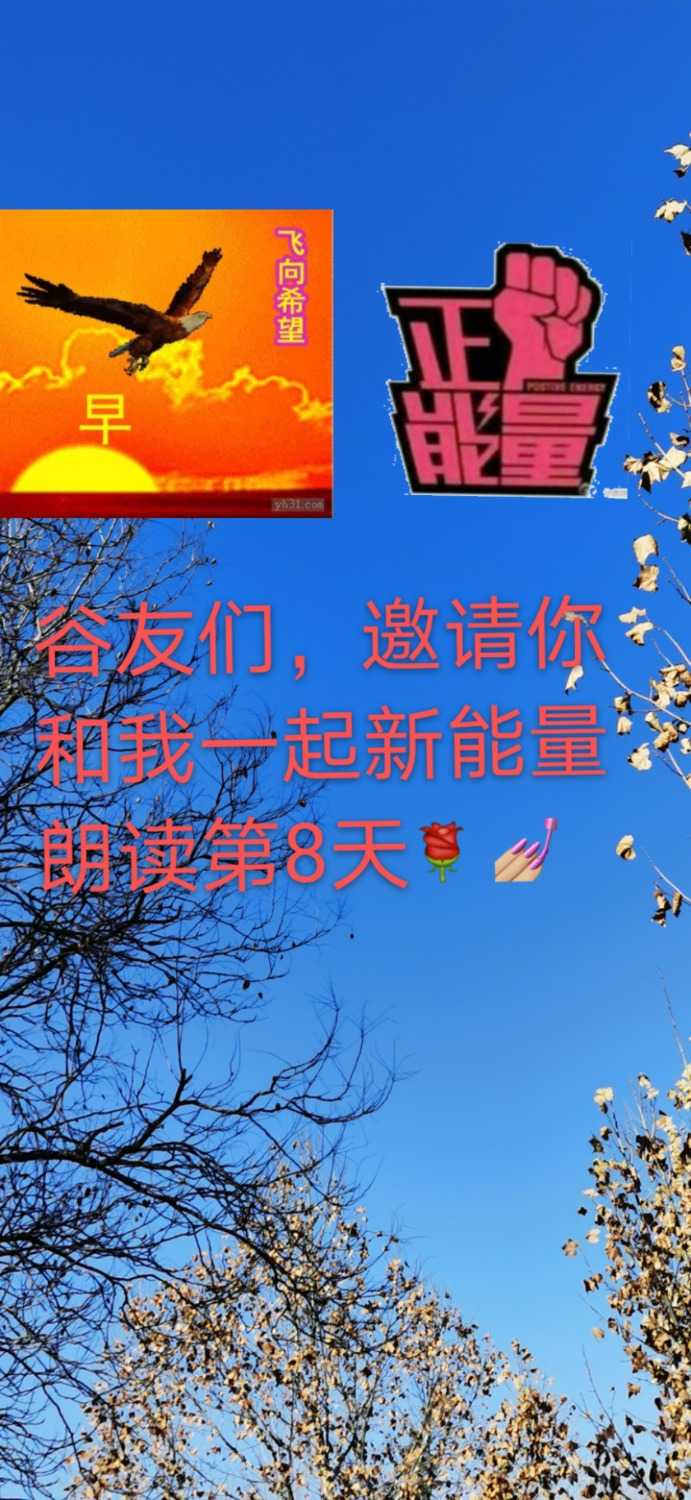 mmexport1611280807180.jpg