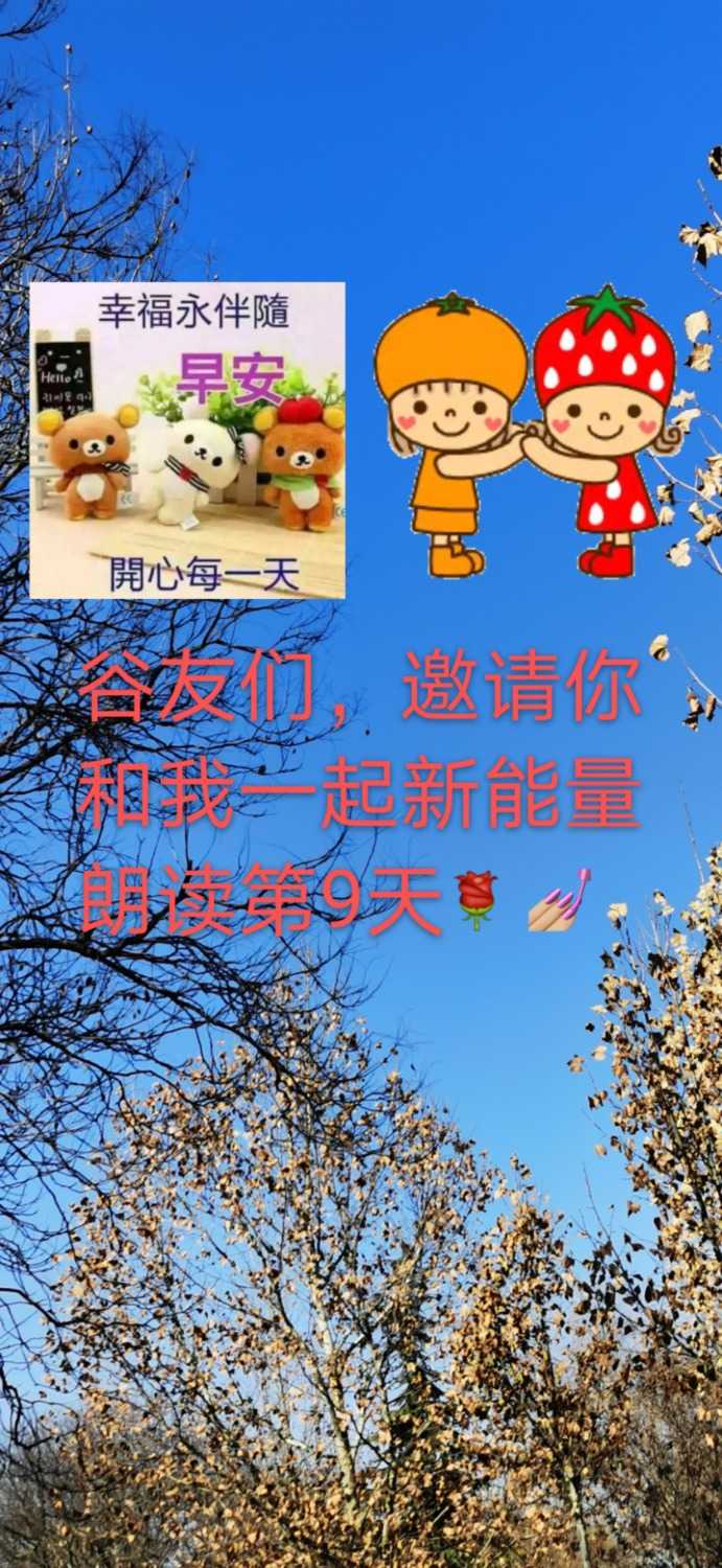 mmexport1611367136292.jpg