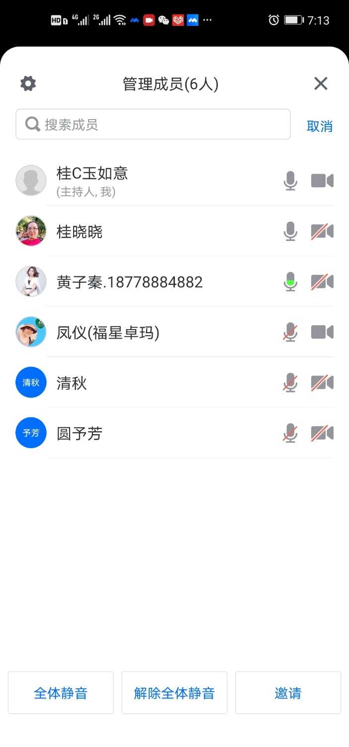 Screenshot_20210118_191342_com.tencent.wemeet.app.jpg