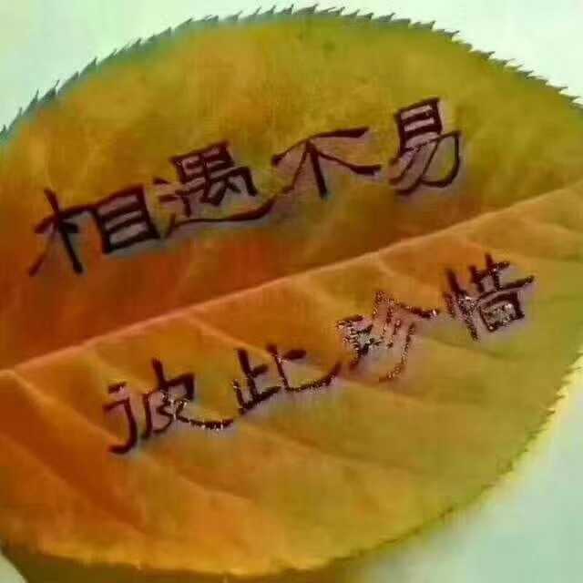mmexport1571674691043.jpg
