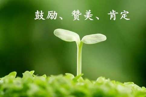 IMG_20201231_153001591_0.jpg