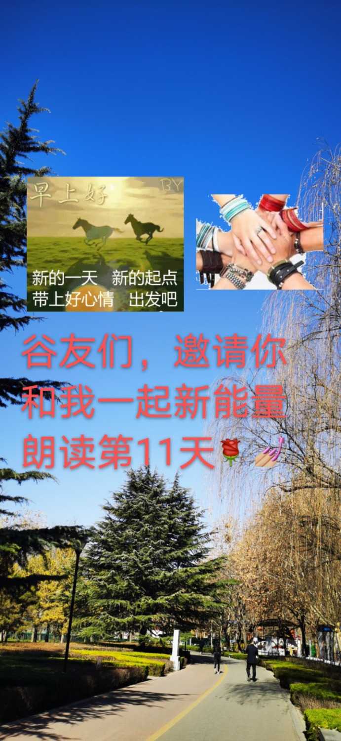mmexport1611639901593.jpg