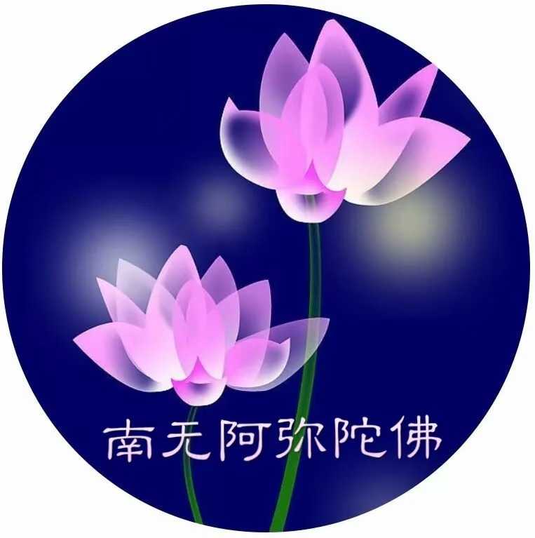 mmexport1606302163240.jpg