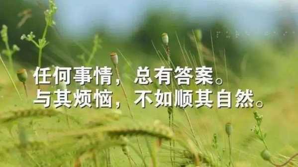 mmexport2d005a841077539bb23ef17a1e9cb955.jpeg