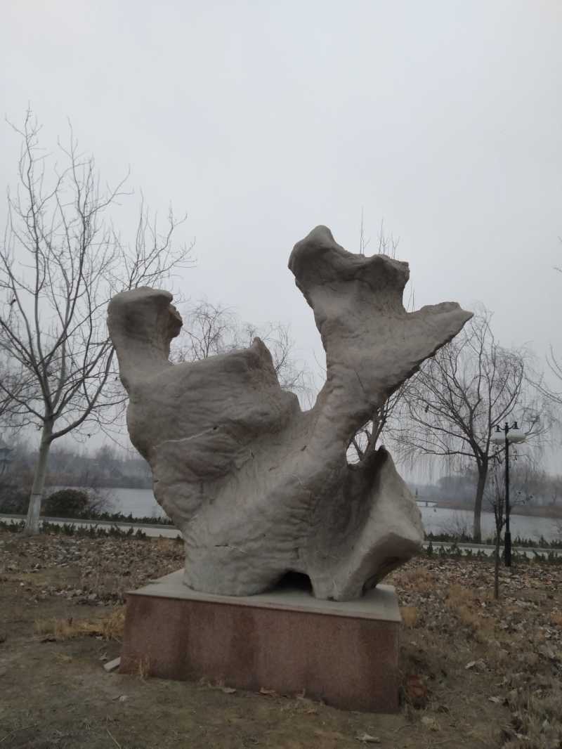 IMG20210121074918.jpg