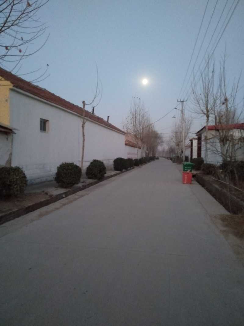 IMG20210130065036.jpg