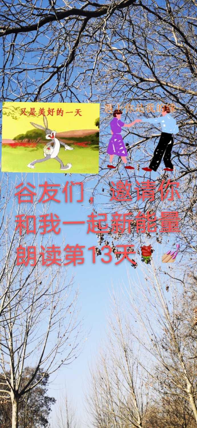 mmexport1611899282601.jpg