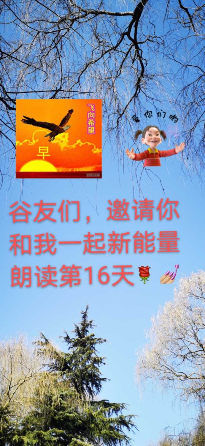 mmexport1612146384264.jpg