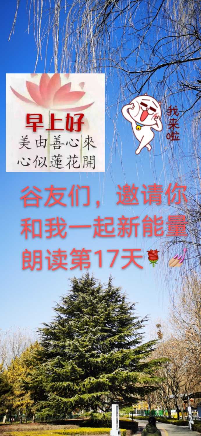 mmexport1612318213873.jpg