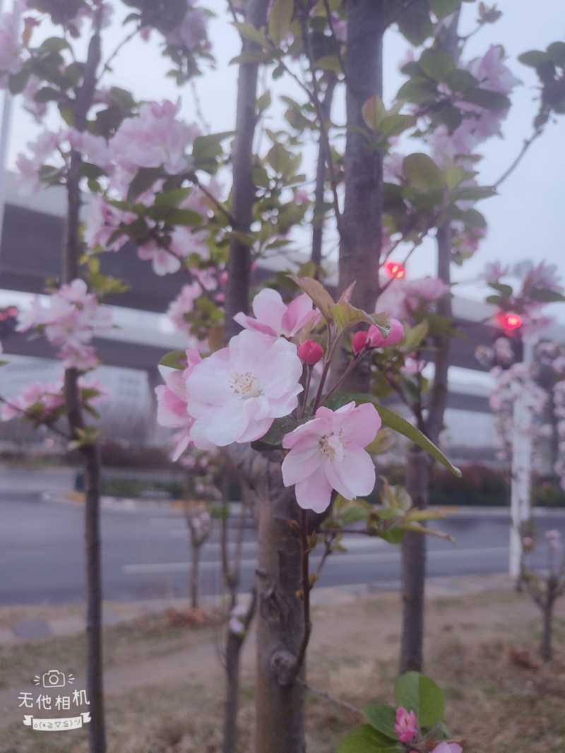Wuta_20210315_063201.jpg