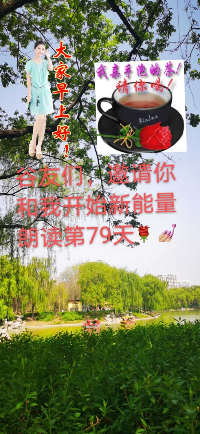 mmexport1619139414176.jpg