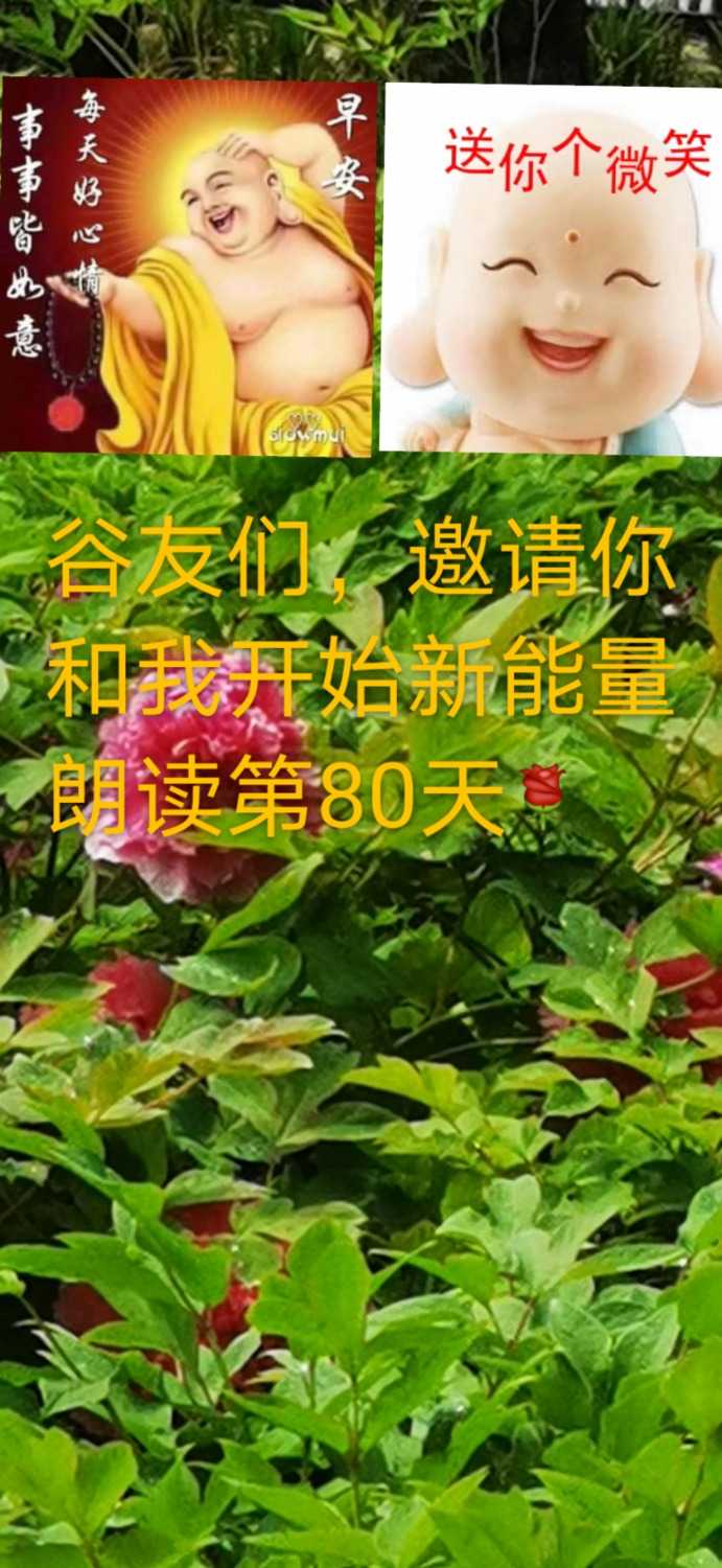 mmexport1619230074610.jpg