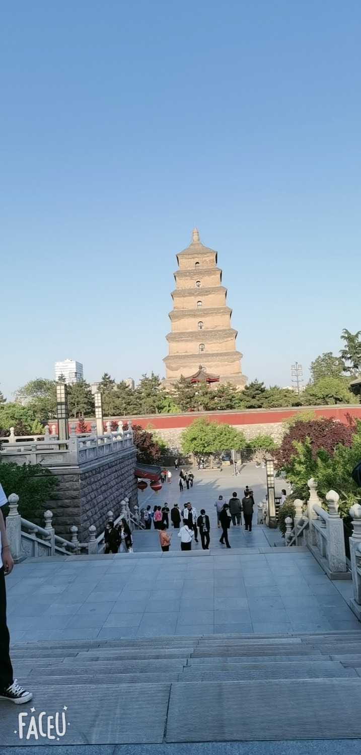 faceu_-413_20210428181724395.jpg