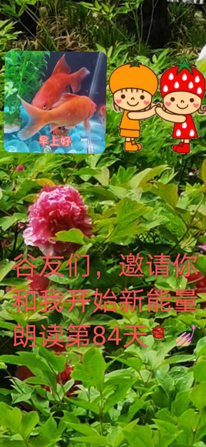 mmexport1619661967549.jpg
