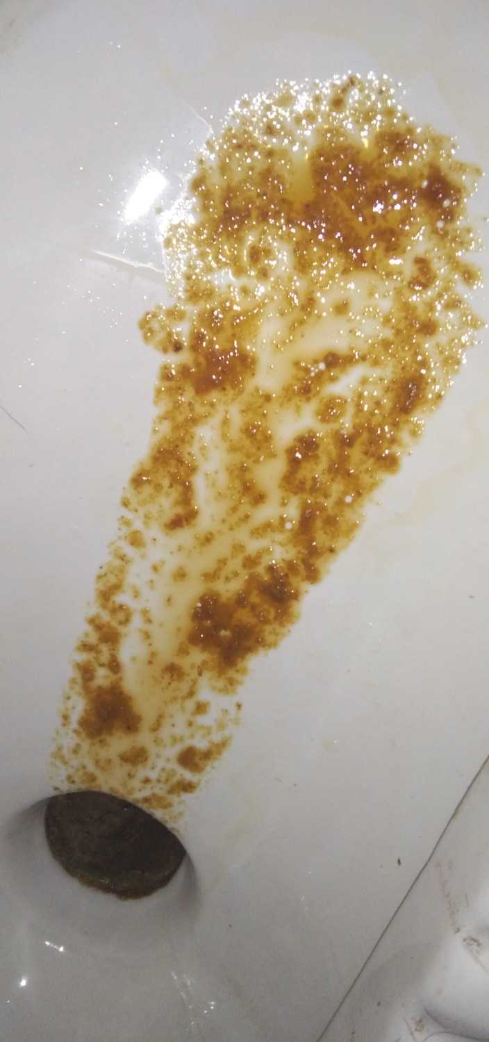 1616213269049.jpg