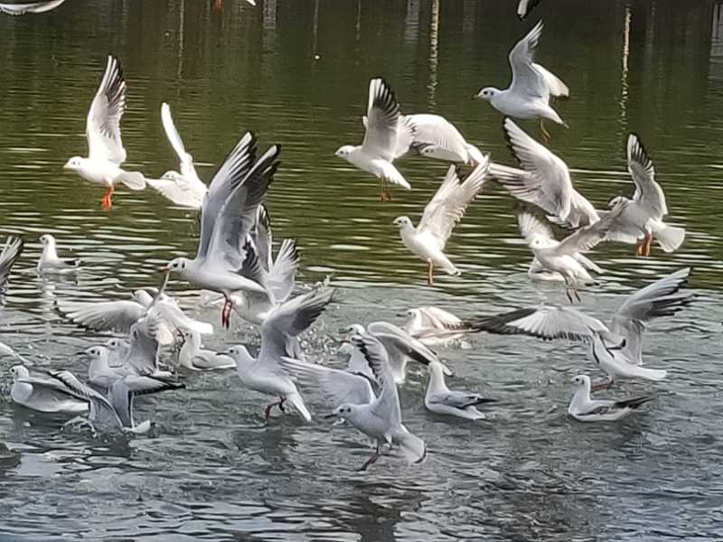 IMG20191101151100.jpg
