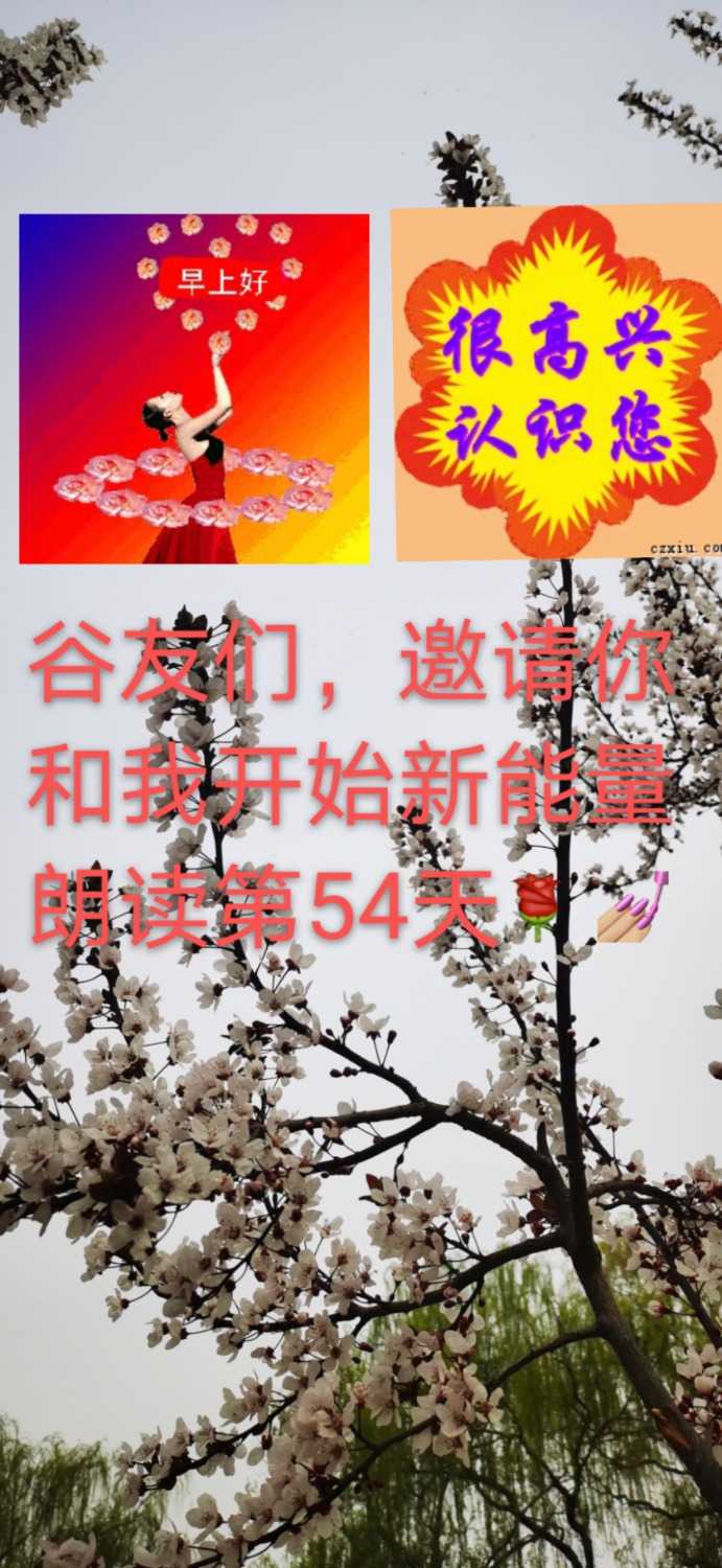 mmexport1616634156409.jpg