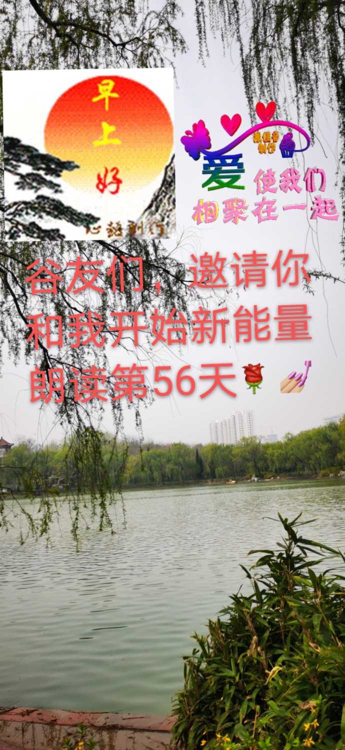 mmexport1616806227959.jpg