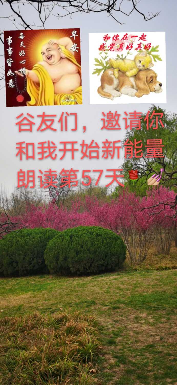 mmexport1616892247094.jpg