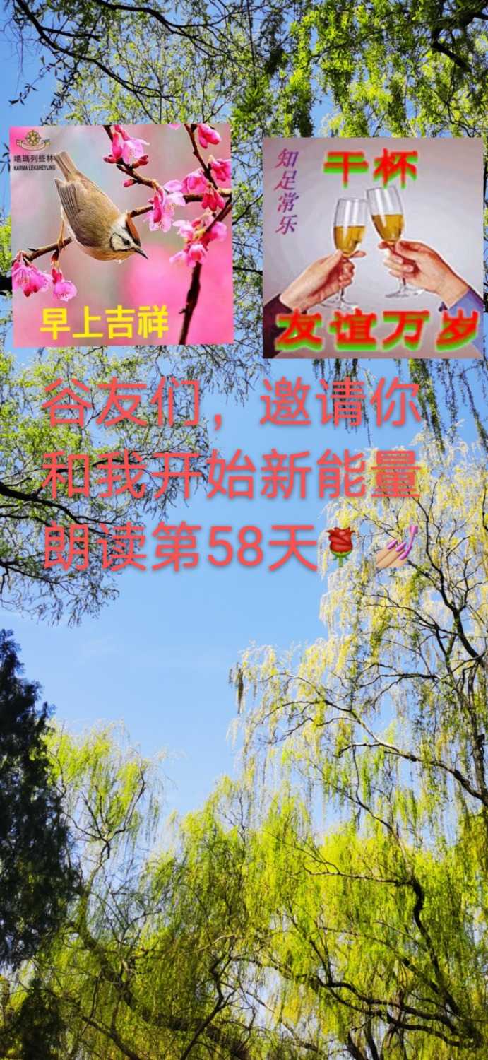 mmexport1616982480599.jpg