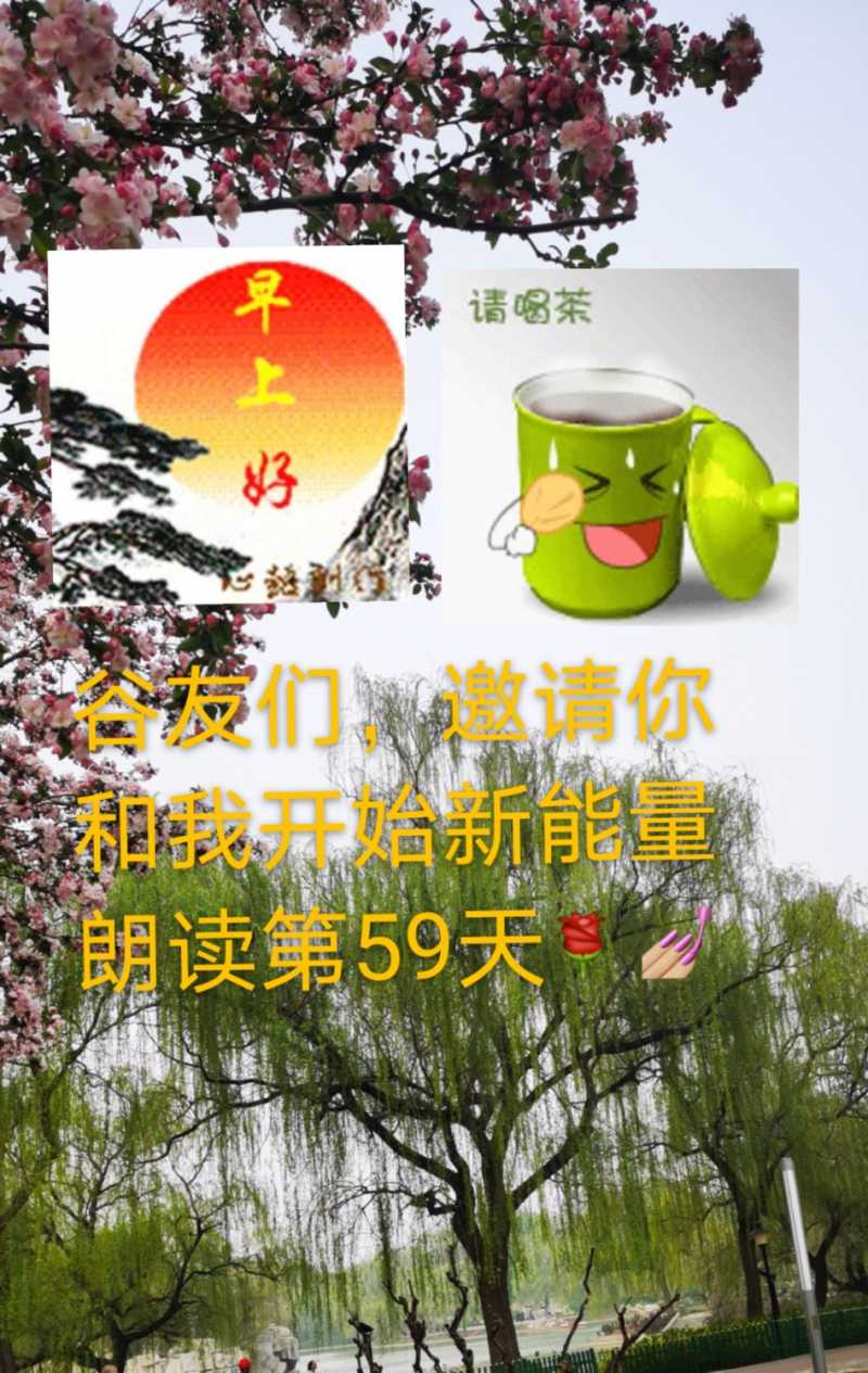 mmexport1617062668700.jpg