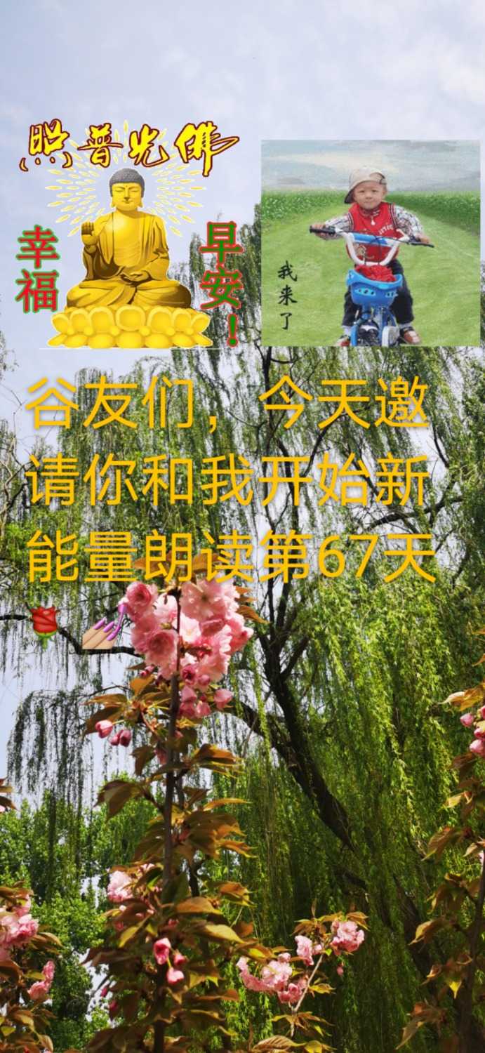 mmexport1617843034948.jpg