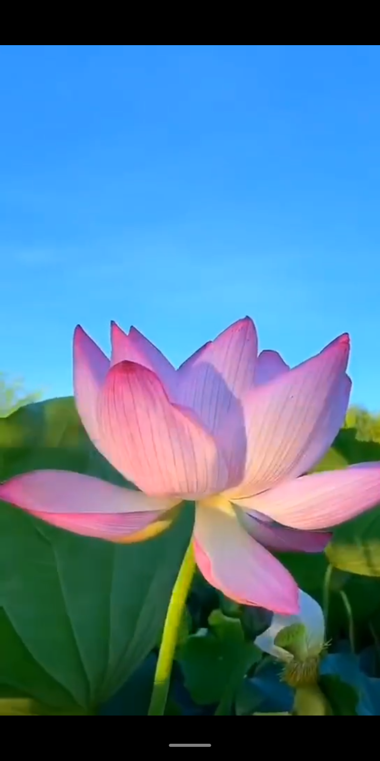 S10605-14242467.png