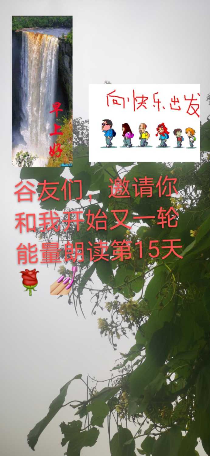 mmexport1623285394467.jpg