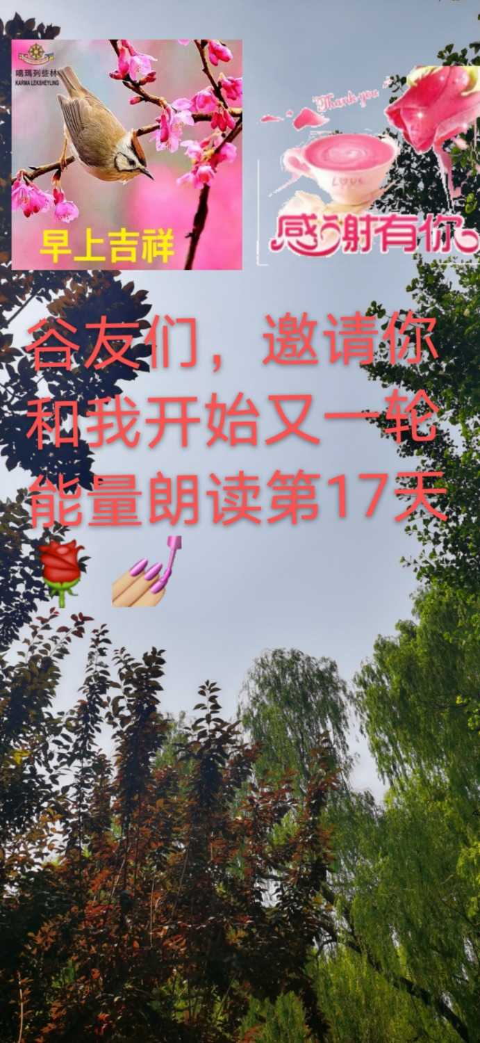mmexport1623546066977.jpg