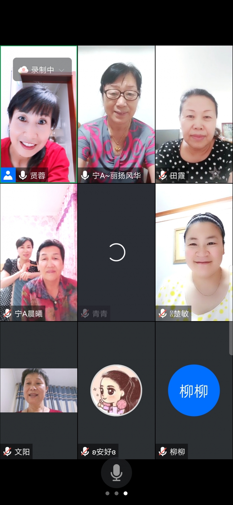 Screenshot_20210615_211400_com.tencent.wemeet.app.jpg