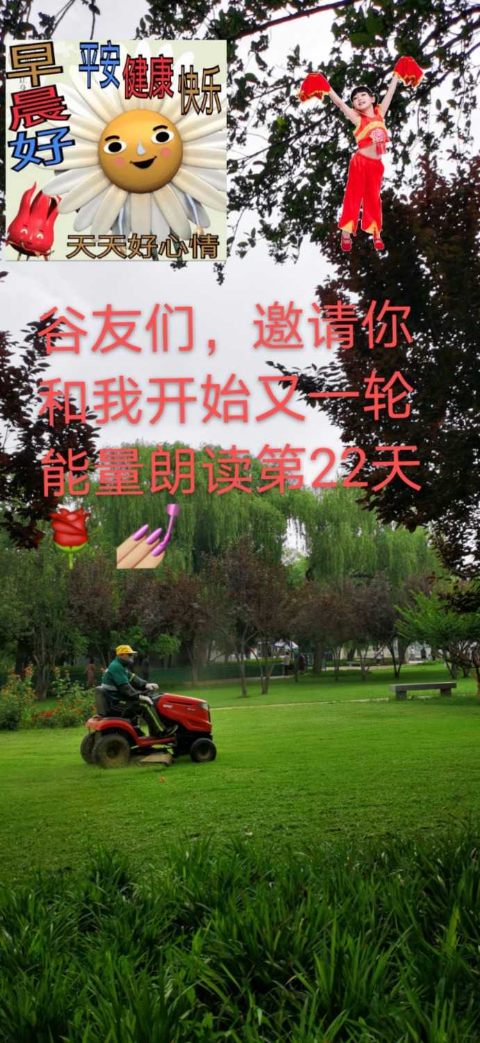 mmexport1623984107653.jpg